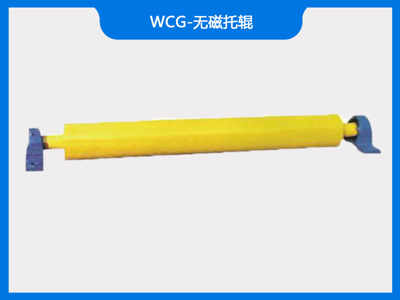 WCG-無磁托輥